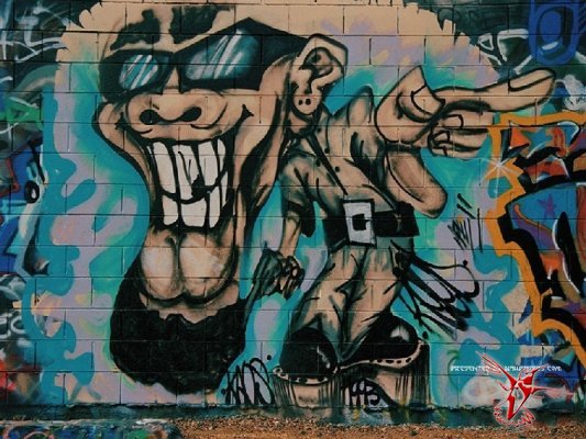 Реферат: Виды и стили граффити