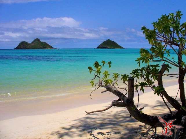 10 самых лучших пляжей со всего мира