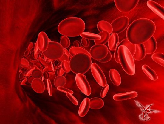 Группа крови может рассказать о тебе больше, чем ты думал...
