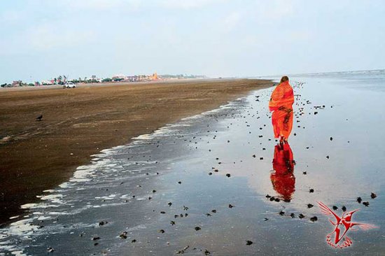 Семь самых чистых и спокойных пляжей Индии