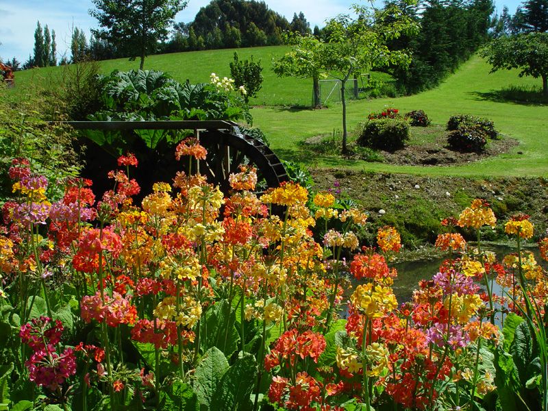 Долина сад. Сад Maple Glen Garden, новая Зеландия. Долина реки клена - частный сад в Саутленд, новая Зеландия. Нов.Зеландия. Долина реки клена.сад в Саутленд,. Сад Maple Glen в новой Зеландии фото.