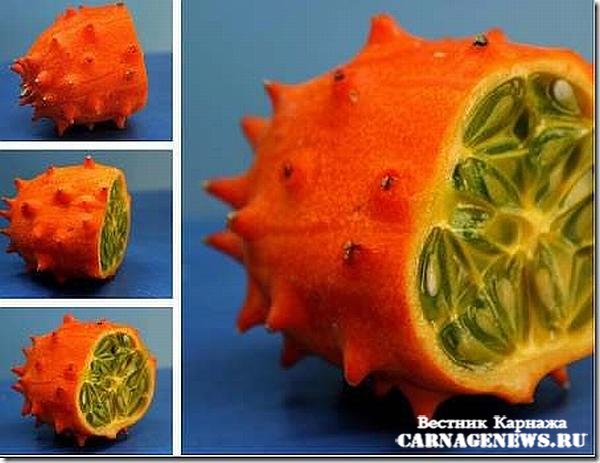 Необычные фрукты 