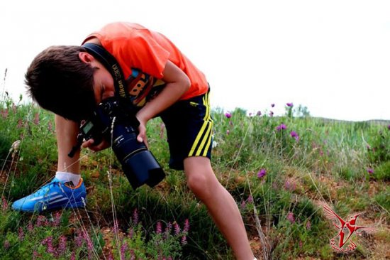 Кто стал победителем конкурса Young Wildlife Photographer 2014