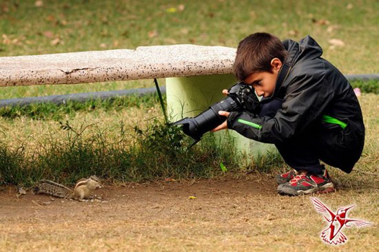 Кто стал победителем конкурса Young Wildlife Photographer 2014