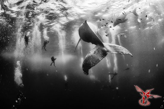 Фотографии – победители конкурса National Geographic Traveler 2015