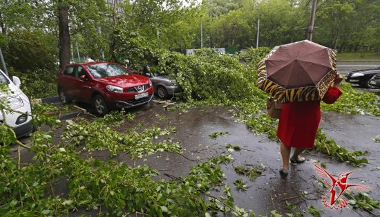 Ураган можно было предсказать? Важные вопросы о стихийном бедствии в Москве