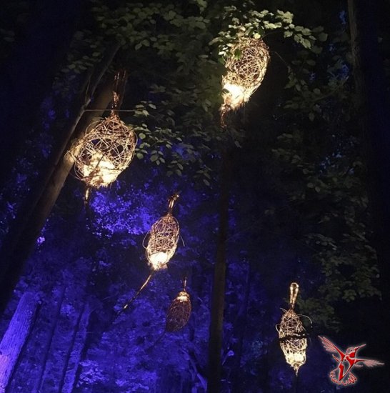Фестиваль искусств в парке «Останкино»: светящиеся деревья и рыбы над прудом...