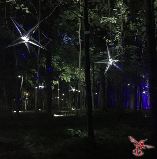 Фестиваль искусств в парке «Останкино»: светящиеся деревья и рыбы над прудом...