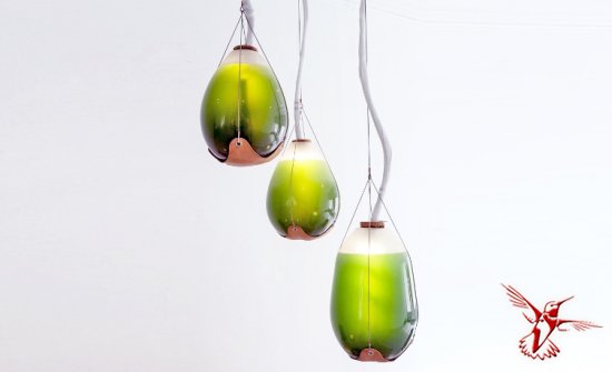 Шесть зеленых дизайнерских разработок на основе водорослей
