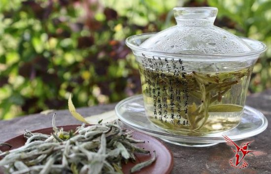 7 причин почему белый чай может продлить вам жизнь