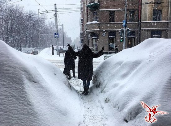 Такого снегопада давно. Снежный апокалипсис в России. Такого снегопада. Такого снегопада давно не. Такого снегопада давно не знали здешние места.