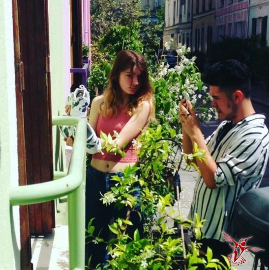 Жители Парижа потребовали огородить свою улицу, чтобы избавиться от пользователей Инстаграма